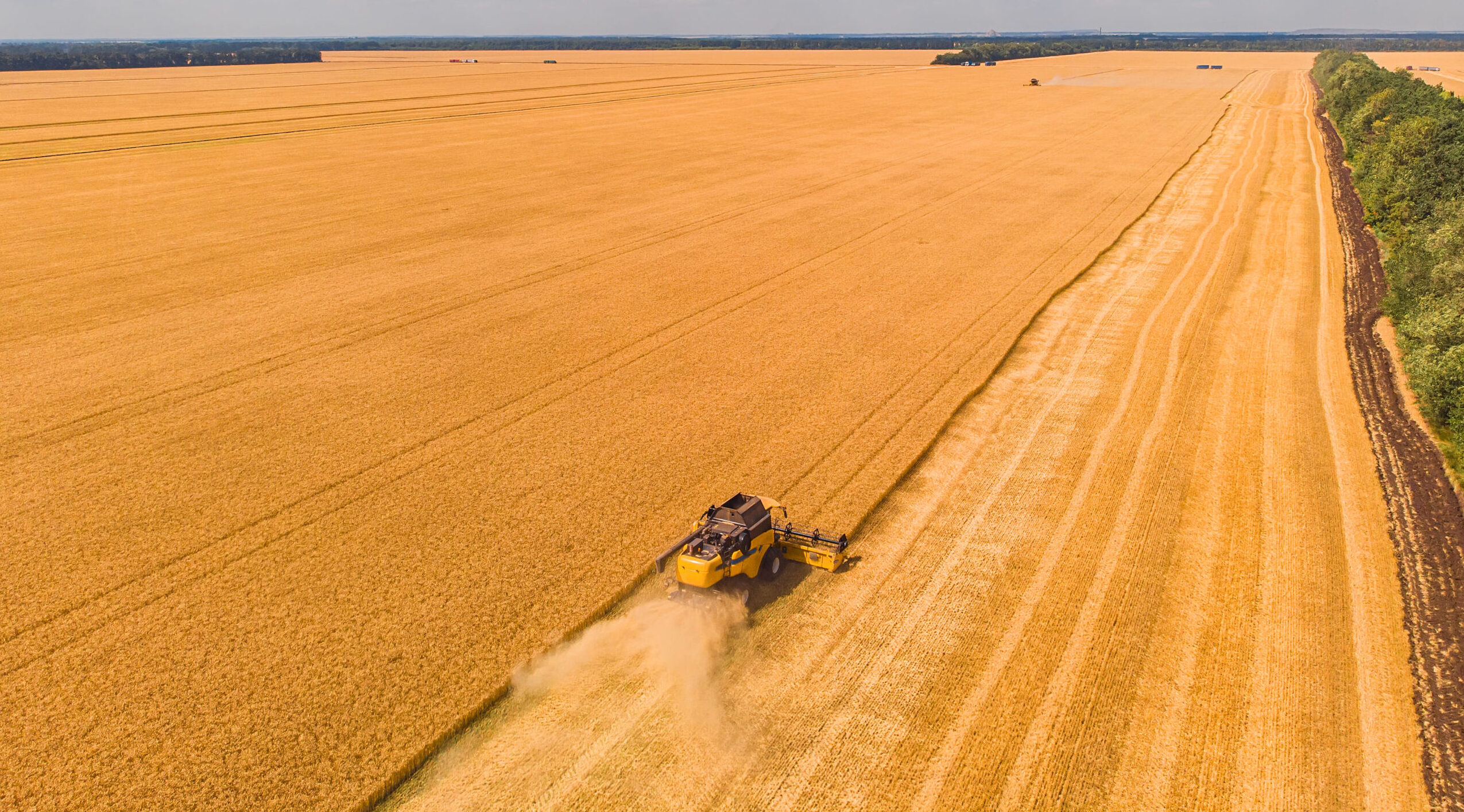 Aerial view of summer harvest. Combine harvester harvesting large field.